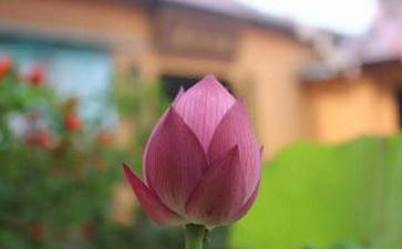 净宗与现代自然科学