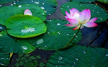 选择更加贴近大自然状态的方式来生活