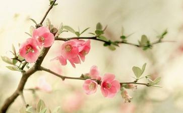 每一个人来到世间都必须知道的人生真相