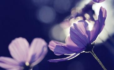 山东招远命案是何教义，如此践踏生命