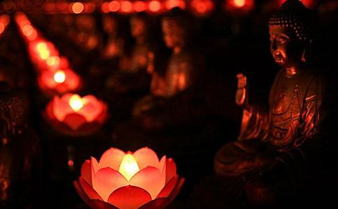 佛前供养一朵花的功德，大到你无法想象