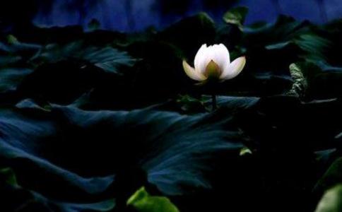 我们为什么没能成佛