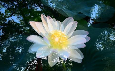 学佛的下手处在哪里？