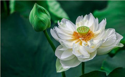 “般若”对我们有什么妙用呢？