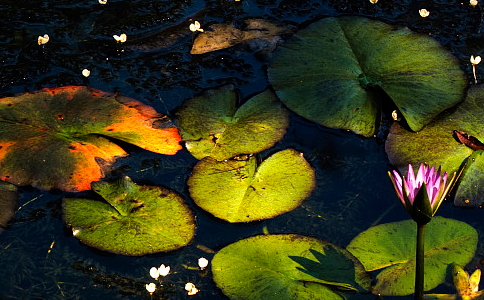 人生达到“善”的品质就够了吗？