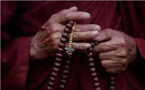 每天诵经念佛但断不了肉食还有功德吗？能往生极乐吗？