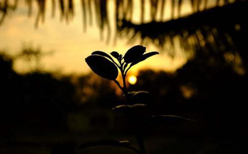 风水不在他处，而在自己心中