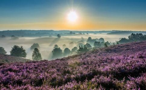 世界众多，分四大种类