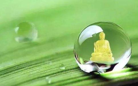 如何正确快速契入学佛境界？