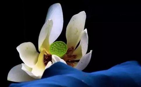 可见知因知果，世间的苦才会有止息的时候