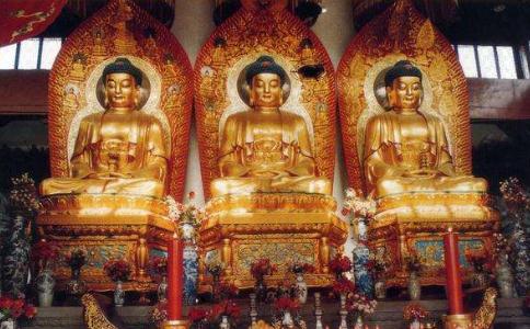 念念不忘皈依佛法僧