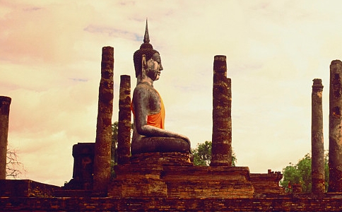 什么欲望最能吸引我们？