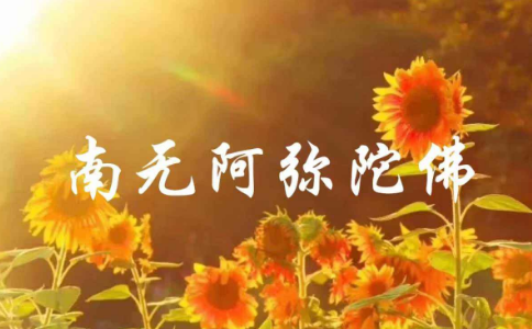 一句阿弥陀佛便是最好的念佛法门