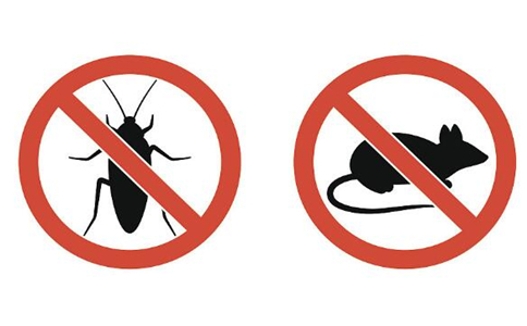 菩萨戒弟子在卖老鼠板和蟑螂药的单位工作，该怎么办？