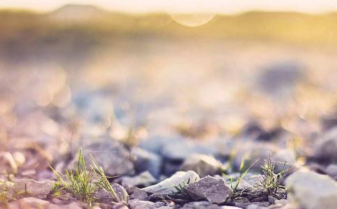 警醒自己不要浪费生命