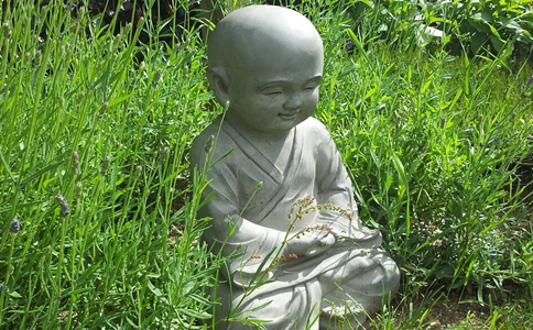 如何才能做到随缘度生，又能冷静的置身于事外？