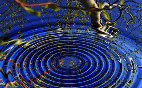 佛教如何理解“能量”？