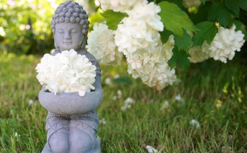 以佛法安心，转逆境为顺境