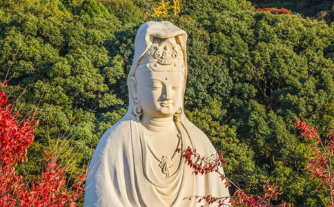 菩提心的特点是什么？