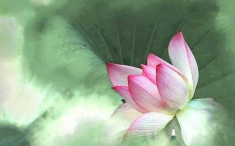 修持随喜，消除自己的嫉妒心