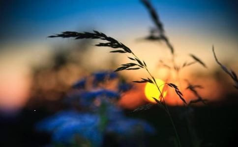 心境决定着你的处境！