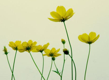 人生的“一字诀”是什么呢？