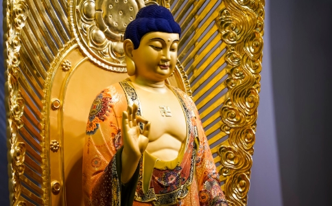 净土法门有悟后起修之说吗？