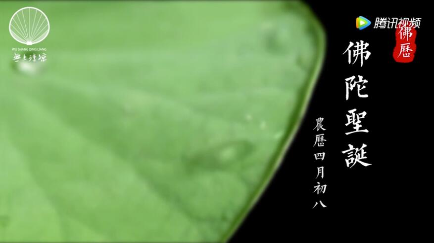 佛陀以人身修行证道，他说法对我们有何意义？