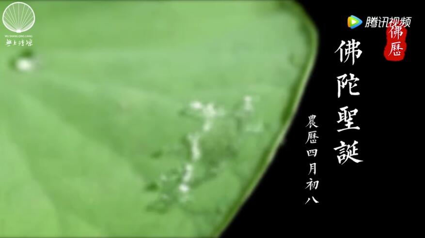 佛陀既然是人，在成道过程中降的是什么魔呢？