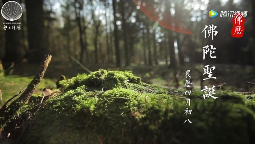 佛陀用了什么方法才明心见性的？