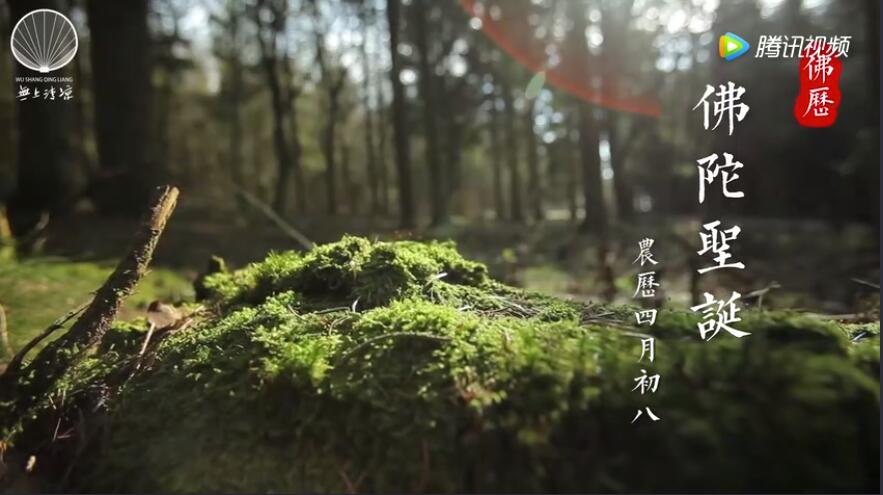 什么是对佛陀最好的纪念？