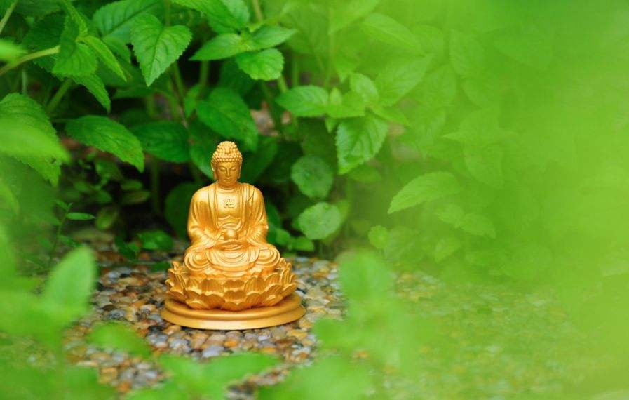 家人不信佛怎么办？家人要杀生吃肉怎么办？