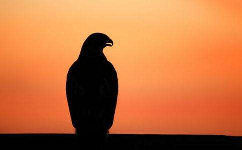 聊天终结者？佛门智慧教你有话好好说