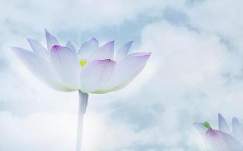 修清净心 清净念佛