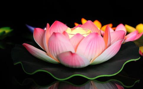 愿我临终无障碍，要怎样做才真正无障碍？