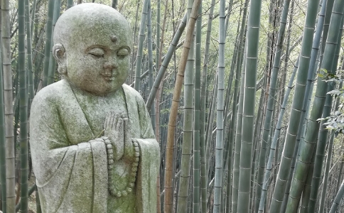 如何生起慈悲心？