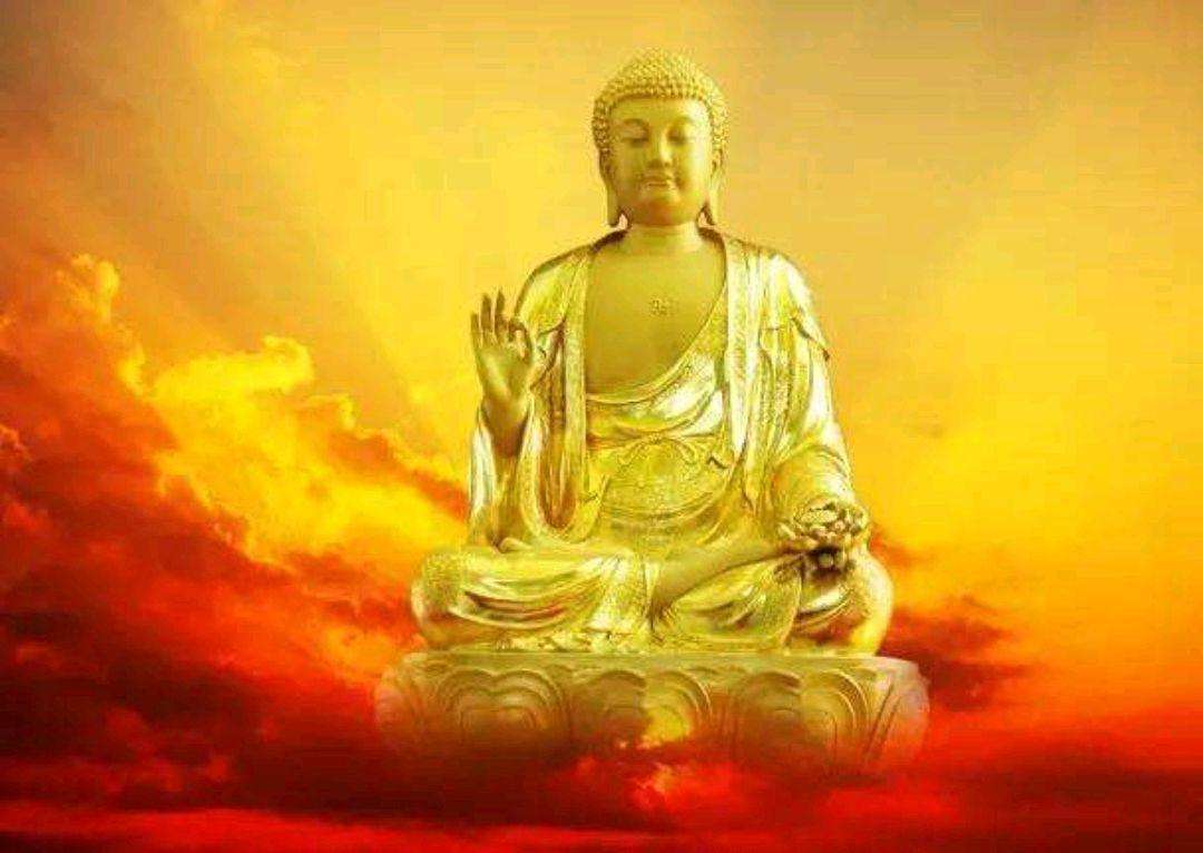 不念阿弥陀佛更念谁呢？