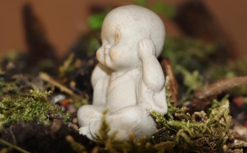 不要太过计较得失，回归本性，转迷成悟