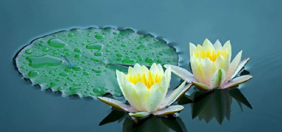 如何戒邪淫，摆脱啖精气鬼？