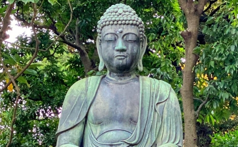 心乱，修行不下去怎办？