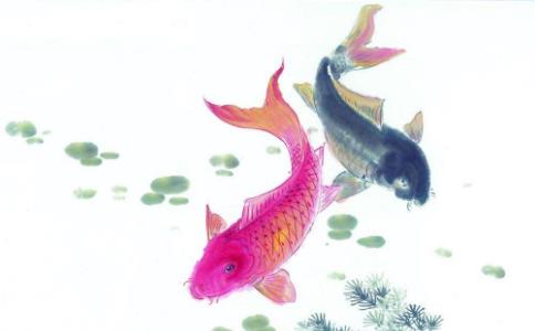 不得不从事杀生行业，该如何化解罪业呢？