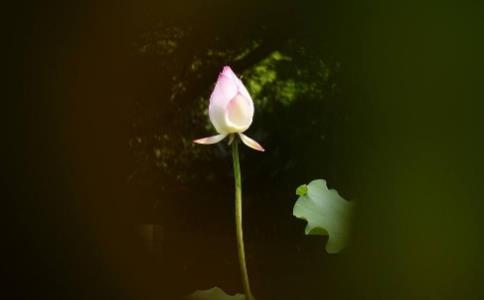 修行人吃的苦难有多少，福报便有多少