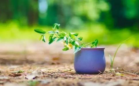 佛教的心与哲学的心分别是什么呢？