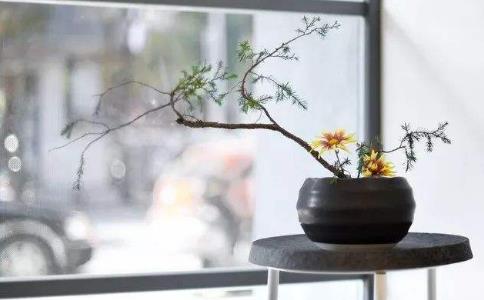 怎样摆正修行和事业的关系？