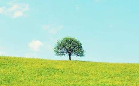 运用本源清净很容易滑到泛平等的时候，怎么办？