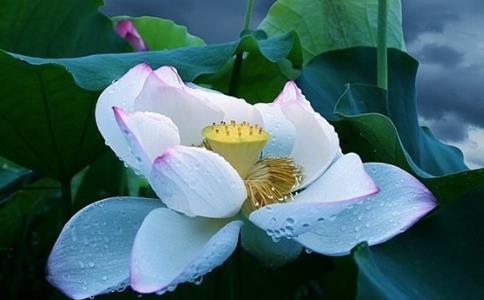 临终障碍重重怎么重建信心？道心退失念佛是否白费了？