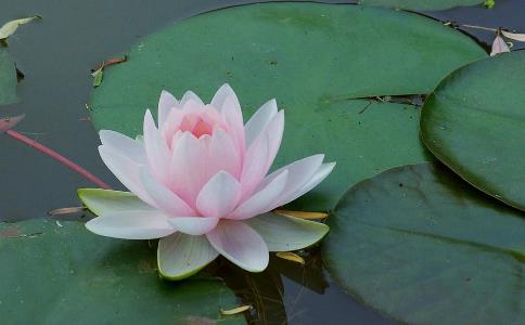 慈善核心精神是什么呢？