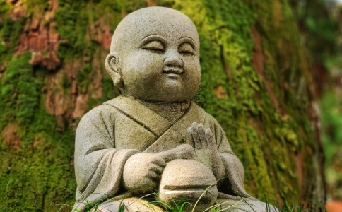 怎么看待以念佛为主的禅净双修？