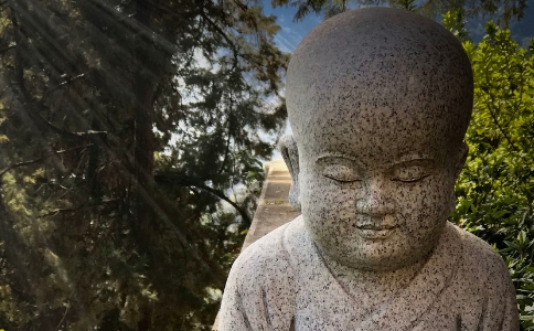 成功的秘诀是什么？至心精进