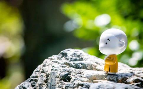 为什么修五念法门？内容是什么？怎么判断是否上路？